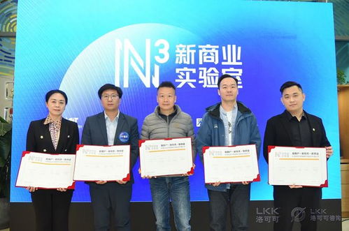 洛可可咨询业务全新升级 信息技术咨询服务迈向独立运营新阶段