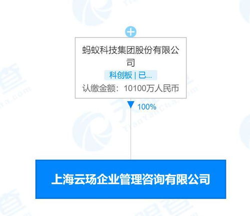 蚂蚁科技新设咨询公司，深耕企业服务与数字技术融合